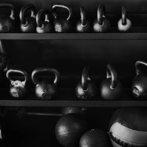 Exercise Equipment