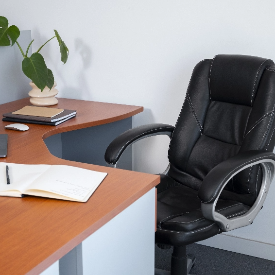 Luxury Office Furnishing